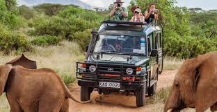 Life coaching is a $2 billion dollar industry with no standard required certification. Complete Guide To Wildlife Tourism By Dr Prem Definition History Essential Features Key Drivers Top Destinations And Budget Packages