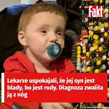 Fakt Trójmiasto