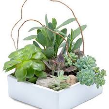 Maybe you would like to learn more about one of these? Kennedy S Flowers Gifts Gift Shop In Grand Rapids