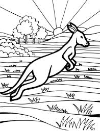 Kangaroo Animal Australia Coloring Picture In 2020 Australia Animals Coloring Pages Coloring Pictures