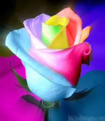 Free Rainbow Rose Phone Wallpaper By Brandiwig84 White Rose Flower Rose Flower Wallpaper Flower Wallpaper