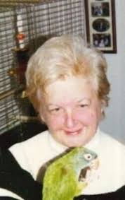 Stephen Siebert's Instagram, Twitter & Facebook