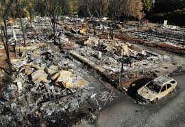 We did not find results for: 500 Million Will Be Spent On Battling Wildfires By Focusing On Forest Fuel