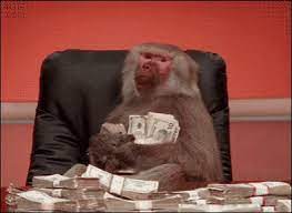 Monkey Money Gif Monkey Money Cash Discover Share Gifs Monkeys Funny Funny Gif Gif