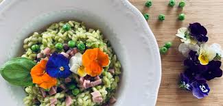 We did not find results for: Risotto Con Piselli E Prosciutto Cotto Affumicato Provalo