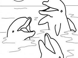 Dolphin coloring pages free to print. Free Easy To Print Dolphin Coloring Pages Tulamama