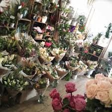 A variety of plants are available including flowering plants and potted plants for fast delivery. The Best Places To Buy Flowers Plants In Edinburgh