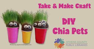 Making the chia pet costume. Take And Make Craft Diy Chia Pets Woub Public Media