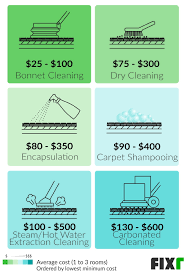 It's cheaper than the costs of professional carpet cleaning but it provides just as efficient results. Cost To Clean Carpet Carpet Cleaning Prices