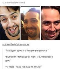 Lin Please Hamilton Funny Lin Manuel Hamilton