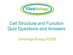 This allows for researchers to study and learn more about the cells. Cell Structure And Function Quiz Questions And Answers Ppt Video Online Download