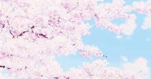 See more of pastel encouraging aesthetics ピンク on facebook. Aesthetic Anime Cherry Blossom Wallpaper Anime Pink Scenery Flower Pastel Sakura Aesthetic Art On T Anime Scenery Wallpaper Anime Cherry Blossom Anime Scenery