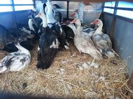 Maybe you would like to learn more about one of these? Index Html