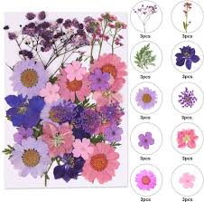 Floral exports we are dried flowers suppliers dried flowers wholesale in dried flowers manufacturer in dried flowers usa and dried flowers canada. Yellowcult Artificial Flowers Buy Yellowcult Artificial Flowers Online At Best Prices In India Flipkart Com