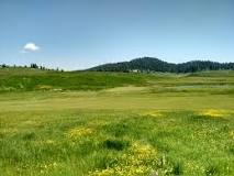 Image result