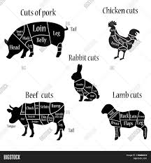 Butcher Chart Vector Photo Free Trial Bigstock