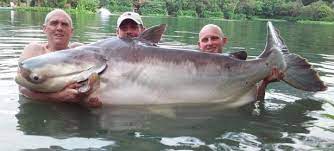 Krabi 2007, tambon khao thong, amphoe mueang krabi, chang wat krabi 81000, thailand. Contract Prices Gillhams Fishing Resorts