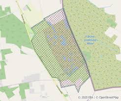 August, soll es ins moor gehen: Eunis Site Factsheet For Nsg Froslev Jardelunder Moor