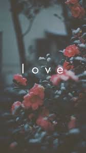 بروك On Twitter خلفيات Wallpapers العاب Hd حب