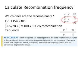 What is the role of the hormone leptin in the body? Mapping Eukaryote Chromosomes By Recombination Ppt Download