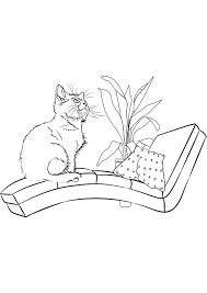 Cat lovers will enjoy coloring this cute cat with her ribbon in this kawaii kitten coloring page. 69 Cat Coloring Pages Coloring Pages