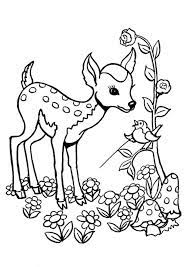 Dec 11, 2018 · cute coloring pages help you express your adorable side. Free Easy To Print Deer Coloring Pages In 2021 Deer Coloring Pages Animal Coloring Pages Horse Coloring Pages