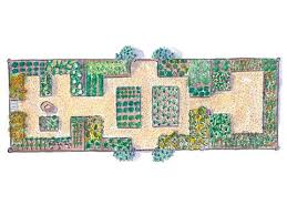 kitchen garden plan and plant
