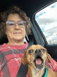 Bianca Andersen's Instagram, Twitter & Facebook