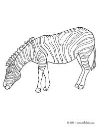 Your children can practise their colouring and fine motor skills. African Animals Coloring Pages Zebra Picture Animal Coloring Pages Animal Art Zebra Pictures