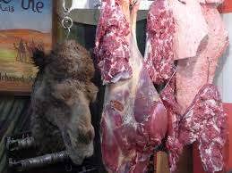 As a vital part of the food supply chain in the uk, smithfield market traders in association with the city of london, their landlord, are committed to. Camel Meat Manufacturers Camel Meat Suppliers Eworldtrade Com