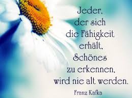 Geburtstagsspruche Kurze Bilder Spruche Spruche Zum Geburtstag Geburtstag Gedicht Geburtstag Zitate