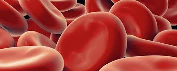 Blood Clotting International Normalised Ratio Inr Myvmc