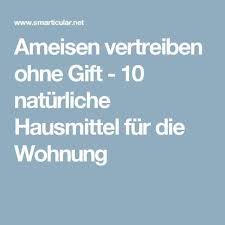 Ameisen Vertreiben Ohne Gift 10 Naturliche Hausmittel Fur Die Wohnung Ameisen Vertreiben Naturliche Hausmittel Hausmittel