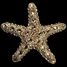 You can find real starfish that are dried to decorate with, or use artificial starfish that look like the real thing. Seashell Starfish Decor Nautical Luxuries