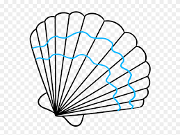 How to draw a seashell. How To Draw Seashell Easy Drawings Of Seashells Clipart 5326425 Pinclipart