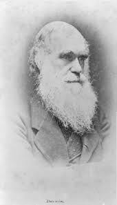 Darwin and Latin America (1831-1900)