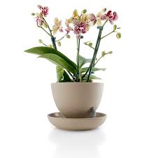 Nylon is a generic designation for a family of synthetic polymers composed of polyamides (repeating units linked by amide links). Eva Solo Selbstbewassernder Blumentopf O13 Keramik Und Nylon Nature Designleben