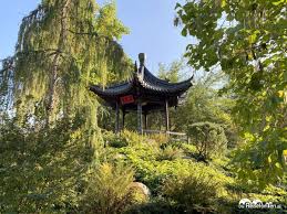 April 2021 wieder täglich von 10 bis 17 uhr für sie geöffnet. Auf Einen Tee Im Chinesischen Teehaus Im Luisenpark Reisefanten De