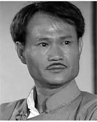 精武门_电影剧情简介_演员表_票房_影评- 手机前瞻网