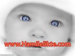 Hafta Hafta Gebelik Http Www Hamilelikte Com Bebek Duvar Kagidi Indigo Cocuk Bebek