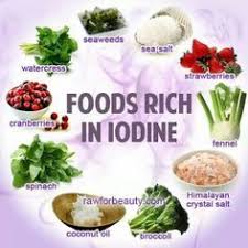 thyroid loving food chart google search iodine rich