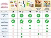 Image result for what is the best treatment for fleas and heartworm for dogs?