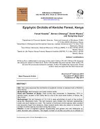 Image result for Tridactyle scottellii