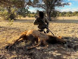 Let'S Get Real About The 6.5 Creedmoor | An Official Journal Of The Nra