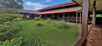 Ayahuasca Retreats & Courses in Peru - Ayahuasca Foundation