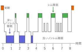ベッドですぐ 寝落ち する人は 眠りの浅い睡眠になっている可能性が 睡眠 快眠 スマホ
