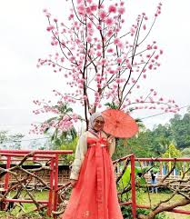 Untuk harga tiket masuk kampung gajah bandung terbilang sesuai dengan fasilitas dan wahana yang disajikan. Harga Tiket Kampung Korea Kadu Engang Dan Lokasinya Kata Omed