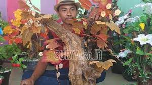 Check spelling or type a new query. Danang Sulap Limbah Akar Kayu Jati Jadi Kerajinan Bunga Hias Cantik Tribunnews Com Mobile