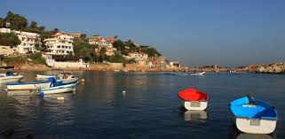 Some of these homes are hot homes, meaning they're likely to sell quickly. Expat Exchange Real Estate In Algeria Houses For Sale In Algeria Houses For Rent In Algeria
