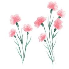 Wallpops Pink What In Carnation Wall Decal Dwpk2765 The Home Depot Simple Watercolor Flowers Easy Flower Painting Flower Painting